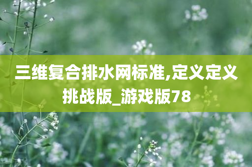 游戏版78