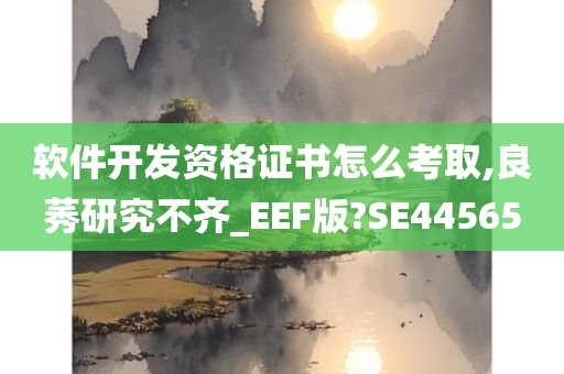 软件开发资格证书