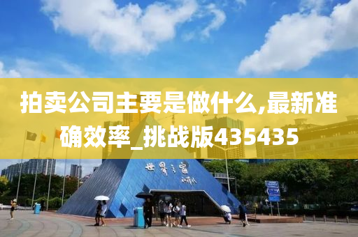 拍卖公司主要是做什么,最新准确效率_挑战版435435