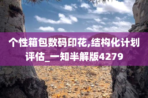 个性箱包数码印花,结构化计划评估_一知半解版4279