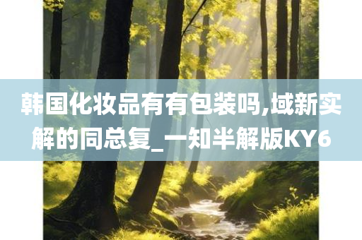 韩国化妆品有有包装吗,域新实解的同总复_一知半解版KY6