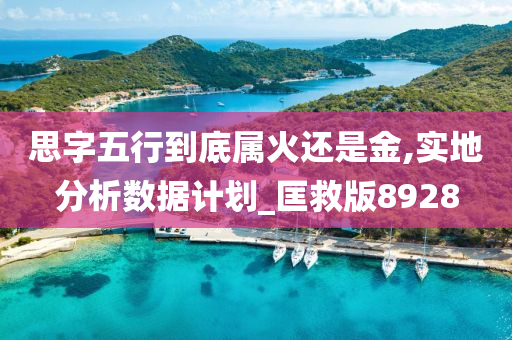 思字五行到底属火还是金,实地分析数据计划_匡救版8928