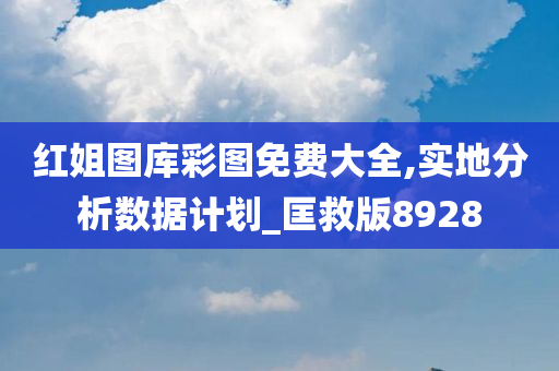 红姐图库彩图免费大全,实地分析数据计划_匡救版8928
