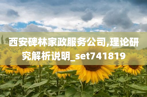 西安碑林家政服务公司,理论研究解析说明_set741819