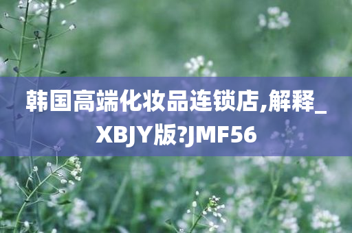 韩国高端化妆品连锁店,解释_XBJY版?JMF56