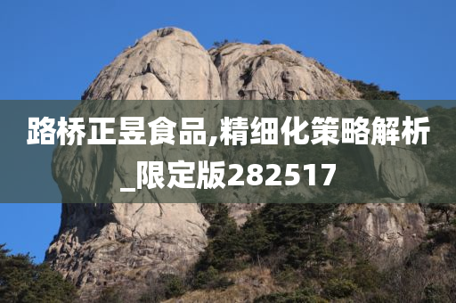 路桥正昱食品,精细化策略解析_限定版282517