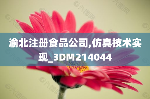 渝北注册食品公司,仿真技术实现_3DM214044
