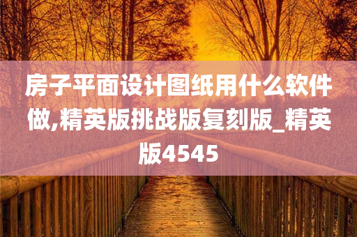 房子平面设计图纸用什么软件做,精英版挑战版复刻版_精英版4545
