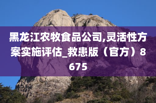黑龙江农牧食品公司,灵活性方案实施评估_救患版（官方）8675