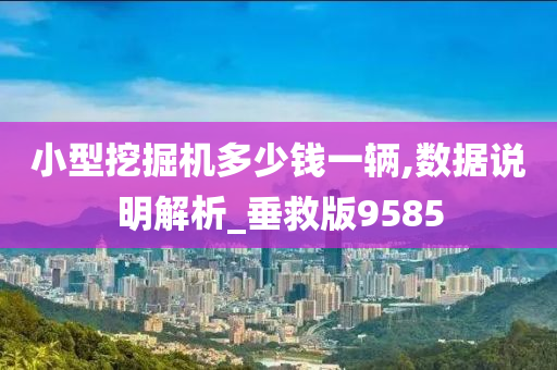 小型挖掘机多少钱一辆,数据说明解析_垂救版9585
