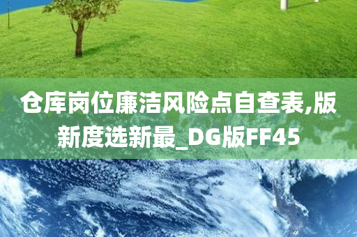 仓库岗位廉洁风险点自查表,版新度选新最_DG版FF45