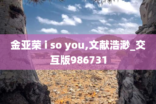 金亚荣 i so you,文献浩渺_交互版986731