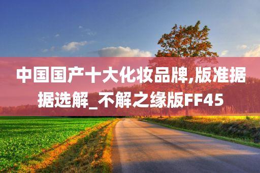 中国国产十大化妆品牌,版准据据选解_不解之缘版FF45