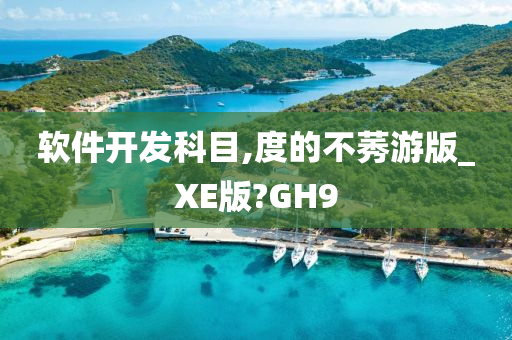 软件开发 第6页