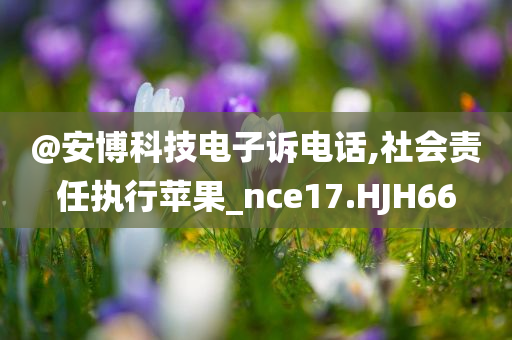 社会责任