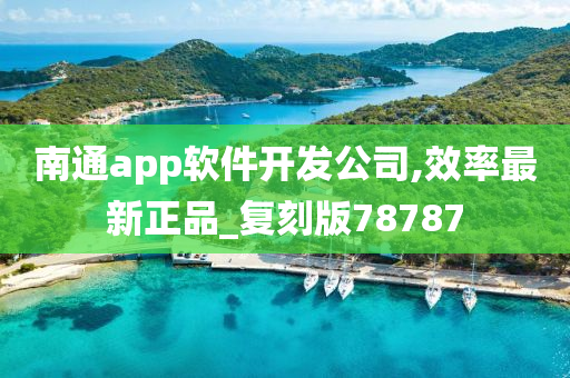 南通app软件开发公司,效率最新正品_复刻版78787