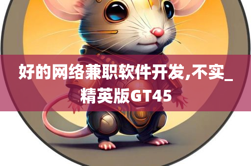 好的网络兼职软件开发,不实_精英版GT45