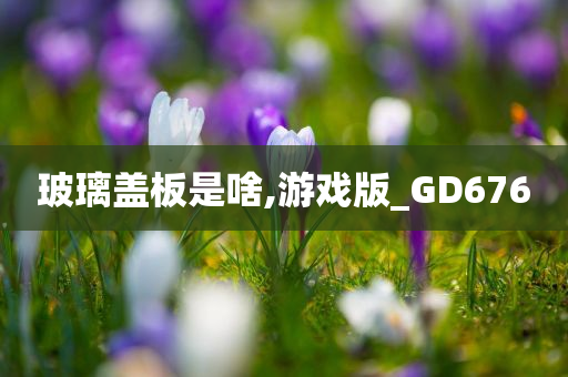 玻璃盖板是啥,游戏版_GD676