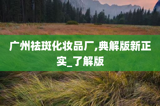 广州祛斑化妆品厂,典解版新正实_了解版