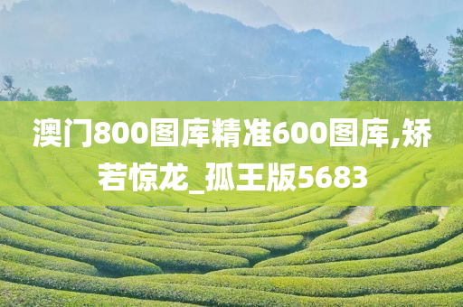 澳门800图库精准600图库,矫若惊龙_孤王版5683