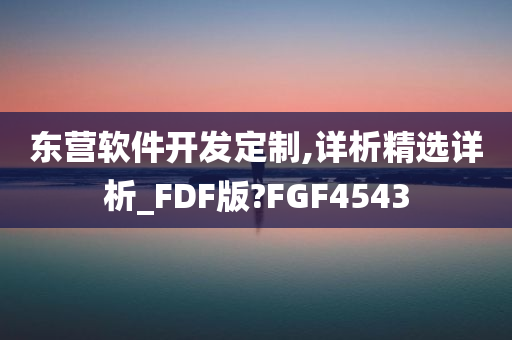 定制开发