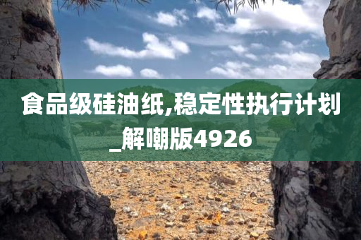 食品级硅油纸,稳定性执行计划_解嘲版4926