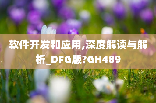软件开发和应用,深度解读与解析_DFG版?GH489