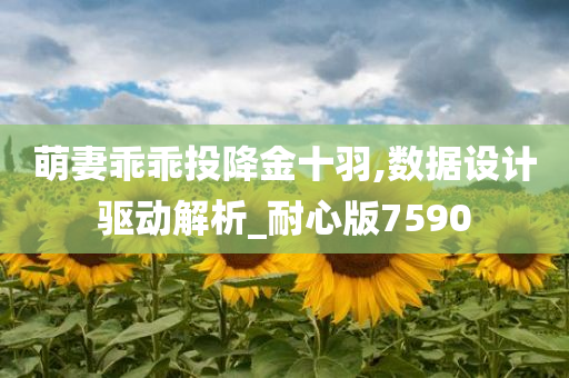 萌妻乖乖投降金十羽,数据设计驱动解析_耐心版7590