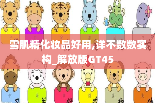 雪肌精化妆品好用,详不数数实构_解放版GT45