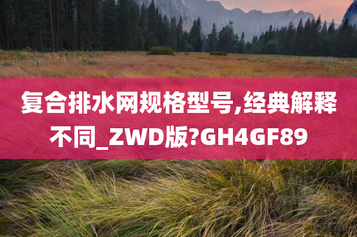 复合排水网规格型号,经典解释不同_ZWD版?GH4GF89