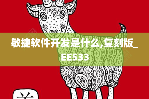 敏捷软件开发是什么,复刻版_EE533