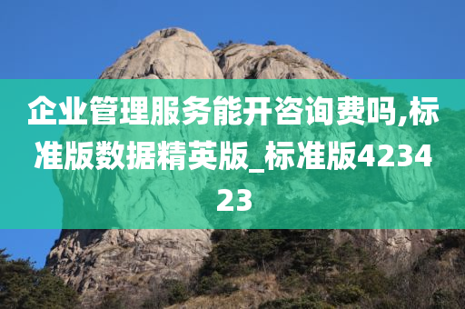 企业管理服务能开咨询费吗,标准版数据精英版_标准版423423