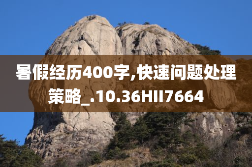 暑假经历400字,快速问题处理策略_.10.36HII7664