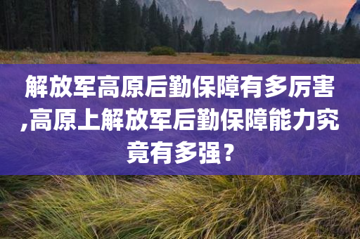 解放军高原后勤保障有多厉害,高原上解放军后勤保障能力究竟有多强？