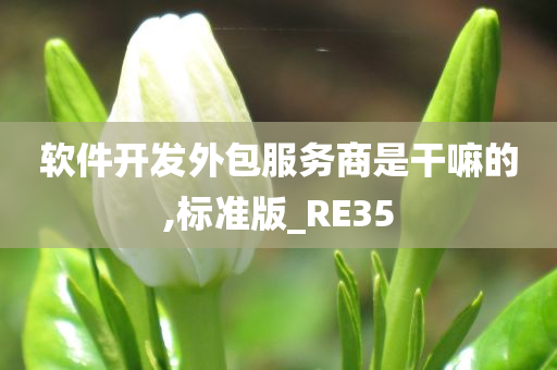 软件开发 第3页