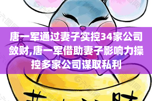 唐一军通过妻子实控34家公司敛财,唐一军借助妻子影响力操控多家公司谋取私利