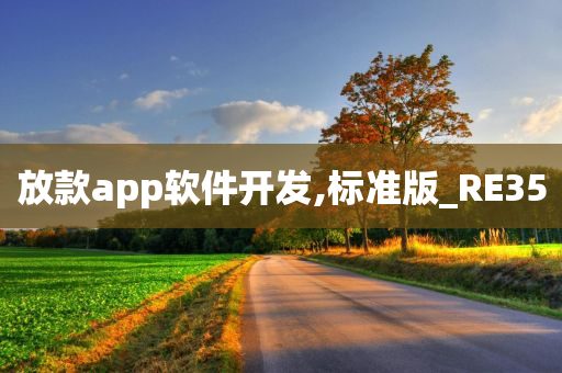 放款app软件开发,标准版_RE35