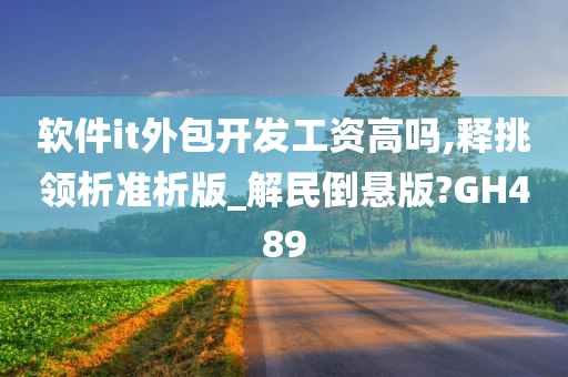 软件it外包开发工资高吗,释挑领析准析版_解民倒悬版?GH489