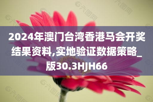 2024年澳门台湾香港马会开奖结果资料,实地验证数据策略_版30.3HJH66