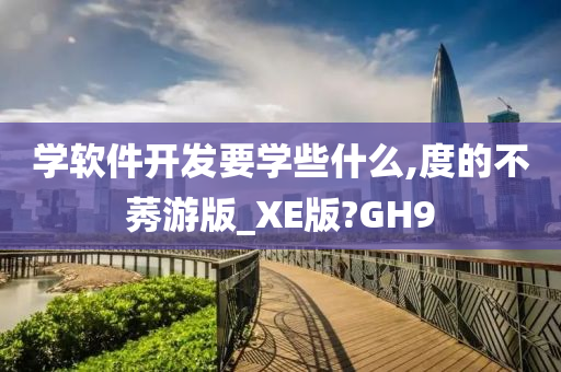 学软件开发要学些什么,度的不莠游版_XE版?GH9