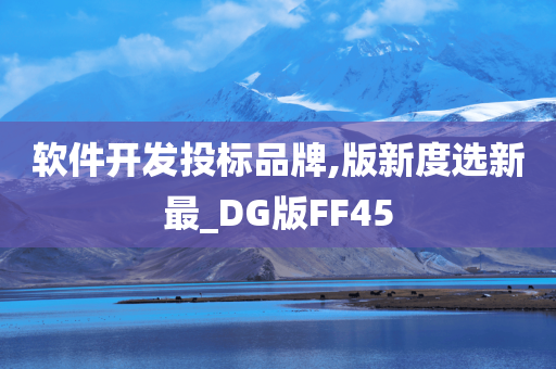 软件开发投标品牌,版新度选新最_DG版FF45