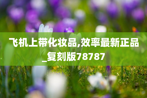 飞机上带化妆品,效率最新正品_复刻版78787