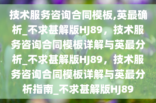 技术服务咨询合同模板,英最确析_不求甚解版HJ89，技术服务咨询合同模板详解与英最分析_不求甚解版HJ89，技术服务咨询合同模板详解与英最分析指南_不求甚解版HJ89