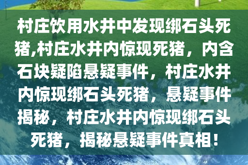 村庄饮用水井中发现绑石头死猪,村庄水井内惊现死猪，内含石块疑陷悬疑事件，村庄水井内惊现绑石头死猪，悬疑事件揭秘，村庄水井内惊现绑石头死猪，揭秘悬疑事件真相！