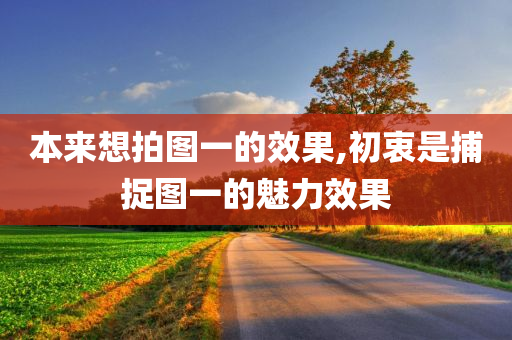 本来想拍图一的效果,初衷是捕捉图一的魅力效果