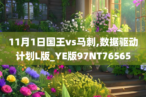 11月1日国王vs马刺,数据驱动计划L版_YE版97NT76565