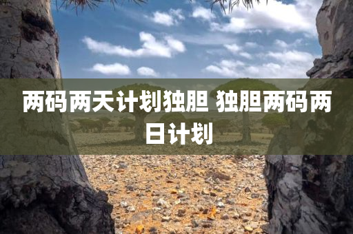 两码两天计划独胆 独胆两码两日计划