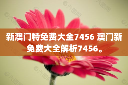 新澳门特免费大全7456 澳门新免费大全解析7456。