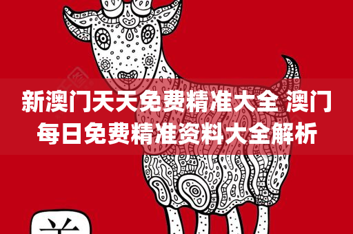 新澳门天天免费精准大全 澳门每日免费精准资料大全解析