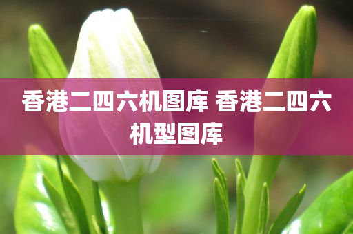 香港二四六机图库 香港二四六机型图库